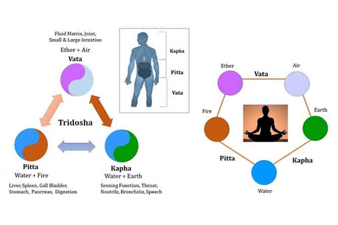 Tridosha Concept In Ayurveda And Prakurthi