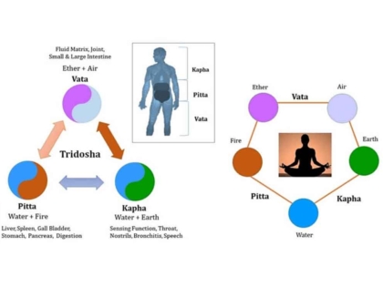 Tridosha-Concept-In-Ayurveda-And-Prakurthi